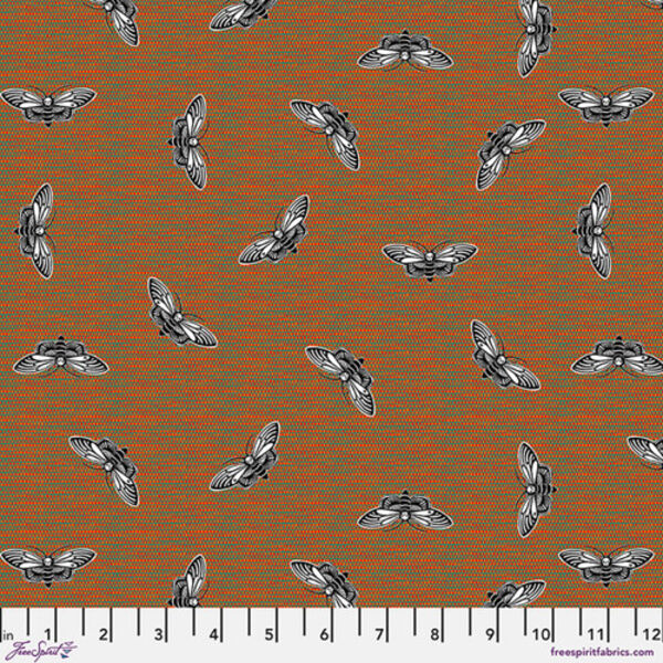 Mothra in Multi