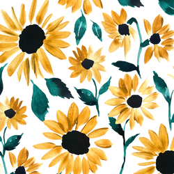 Blooming Sunflowers in Sunset Garden