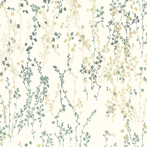 Toadflax in Morning