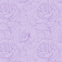 Peony Sketch in Lilac