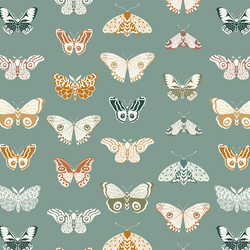 Butterflies in Thyme