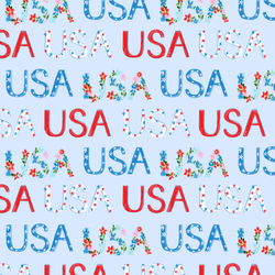 USA in Blue