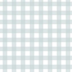 Gingham in Soft Sky