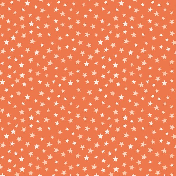 Starry Night in Pumpkin
