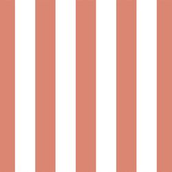 Play Stripe in Desert Rose