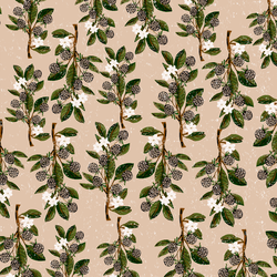 Small Blackberry Branches in Dusty Pink
