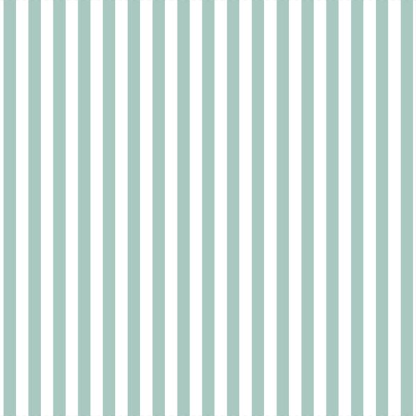 Dress Stripe in Aspen