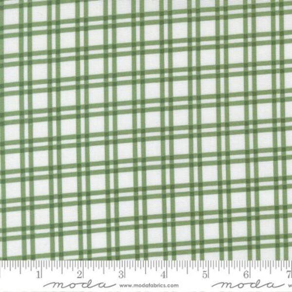 Plaid in Light Green