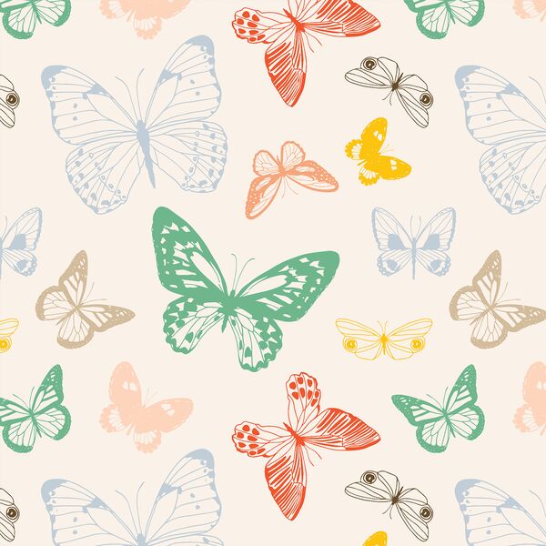 Butterflies in Summer Sunshine