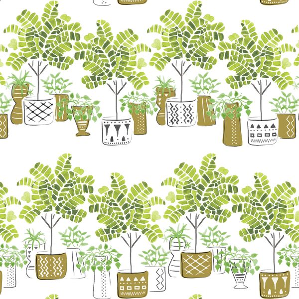Fiddlehead Trees in Greenery