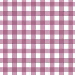 Gingham in Raspberry Sherbet