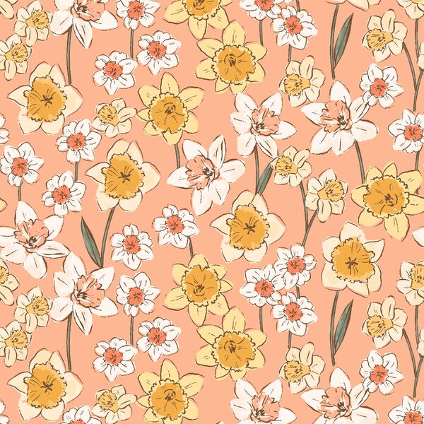 Daffodil Fields in Peach