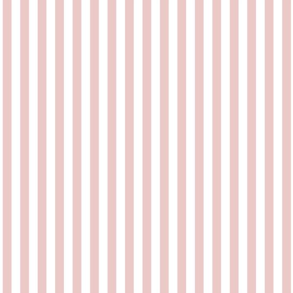 Dress Stripe in Blush