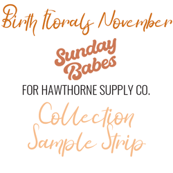 Birth Florals November Sample Strip