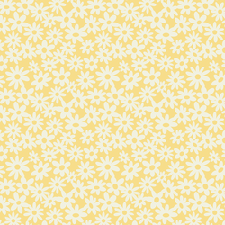 Groovy Daisies in Lemon Ice
