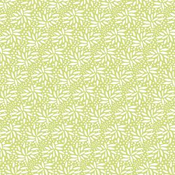 Seeds in Spring Green