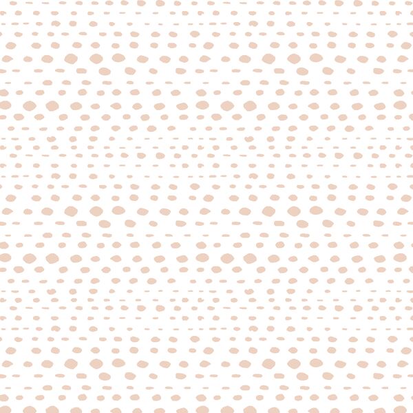 Little Skipping Stones in Shell on White