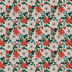 Poinsettias in Christmas