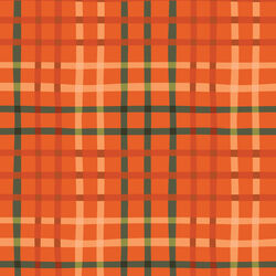 Wavy Fun Checks in Red