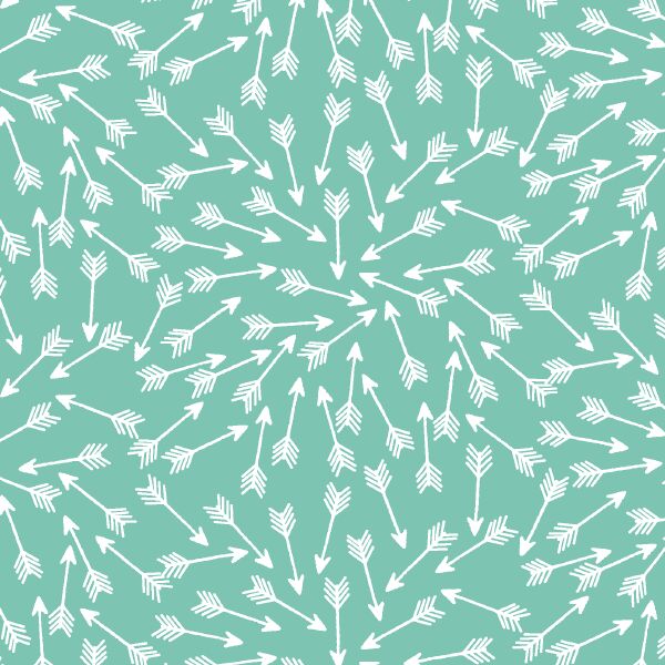 Arrows in Succulent