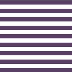 Horizontal Candy Stripe in Aubergine