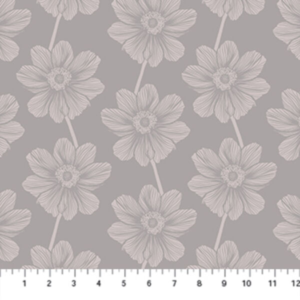 Anemone in Hazey
