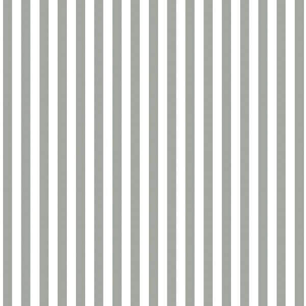 Dress Stripe in Sage