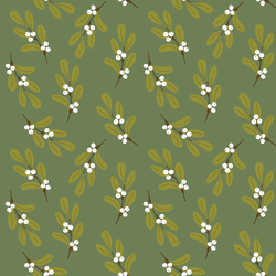 Mistletoe in Pine