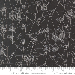 Spider Web in Onyx