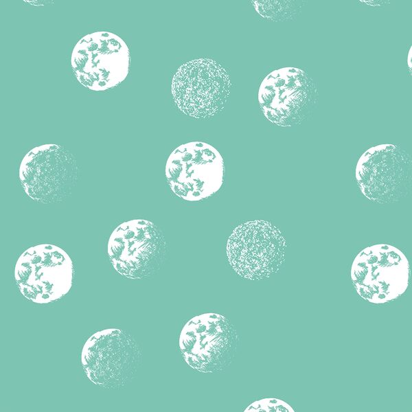 Moondance in Succulent