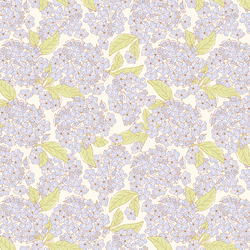 Summer Hydrangeas in Cream