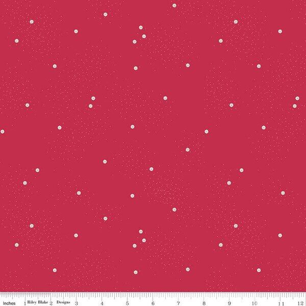 Dainty Daisy in Jazzberry