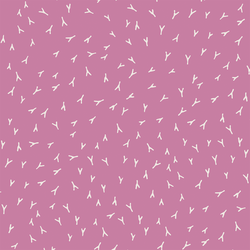 Tracks in Raspberry