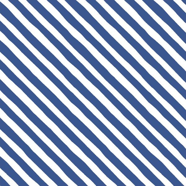 Rogue Stripe in Blue Jay