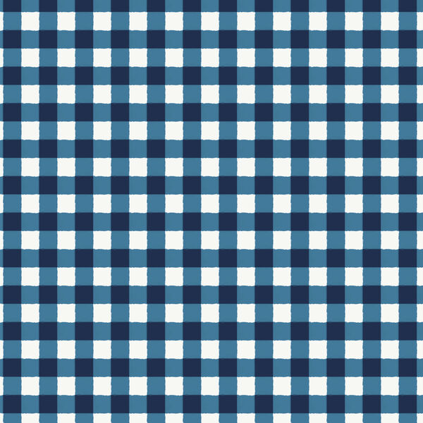Gingham in Blue