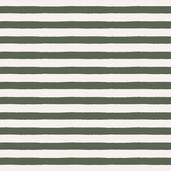 Stripe in Terra
