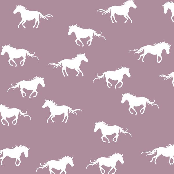 Horse Silhouette in Celestial