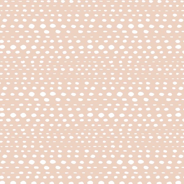 Little Skipping Stones in Shell