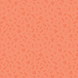Bumble and Bloom in Carrot