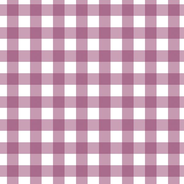 Gingham in Raspberry Sherbet