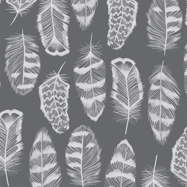 Plume in Charcoal