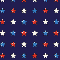 8-Bit Stars in Navy