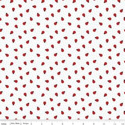 Ladybugs in White