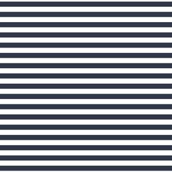 Horizontal Dress Stripe in Eclipse