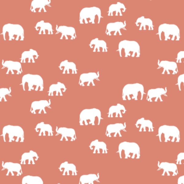 Elephant Silhouette in Desert Rose