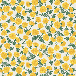 Dianthus in Yellow