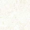 Paperie in Chamomile on White