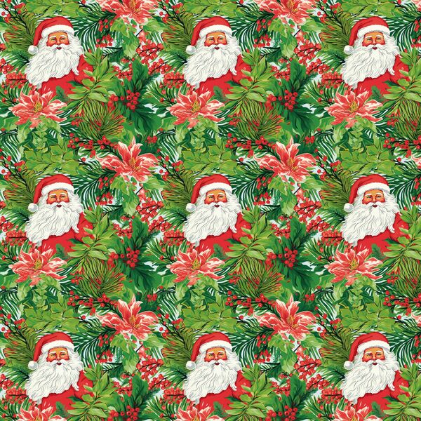 Little Palm Beach Santa in Christmas