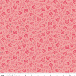 Hens & Chicks in Coral