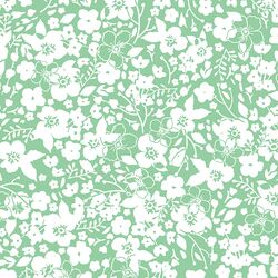 Forget Me Not in Sprout